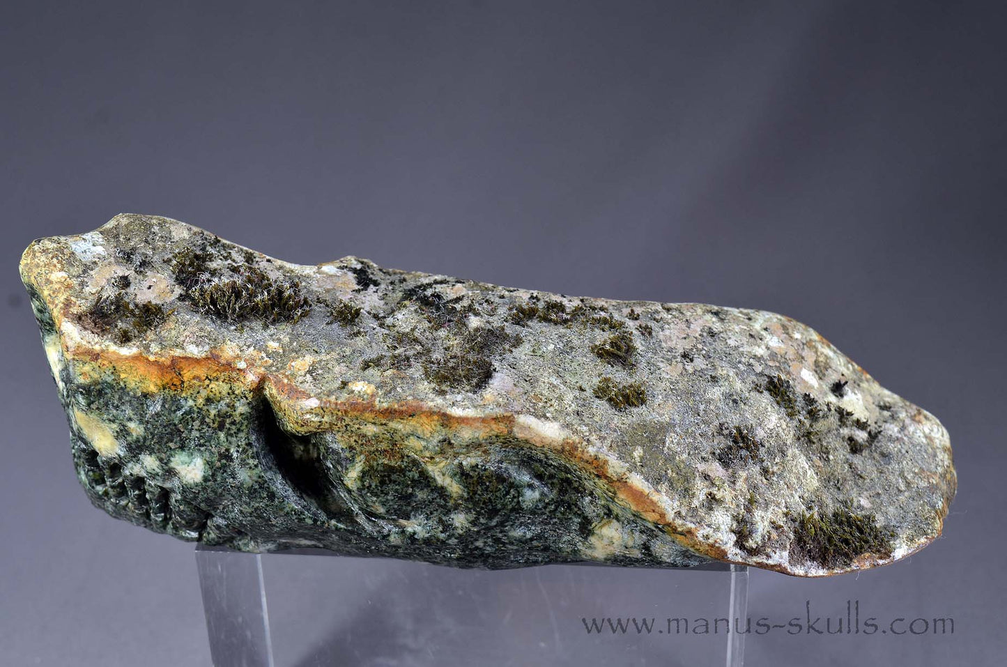 Preseli Bluestone Dragon with living moss on top.