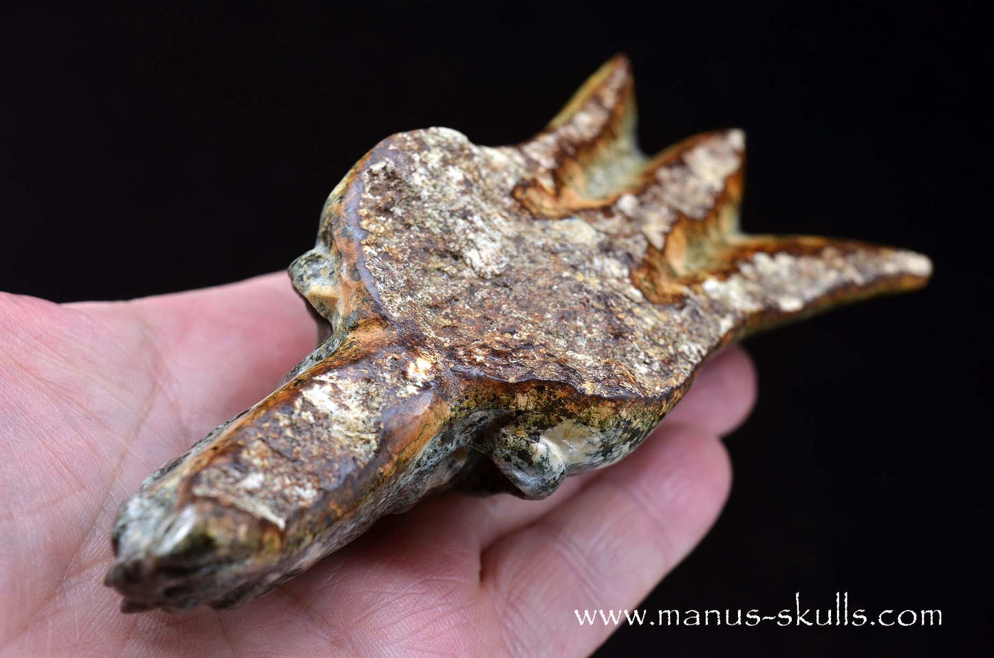 Preseli Bluestone Dragon