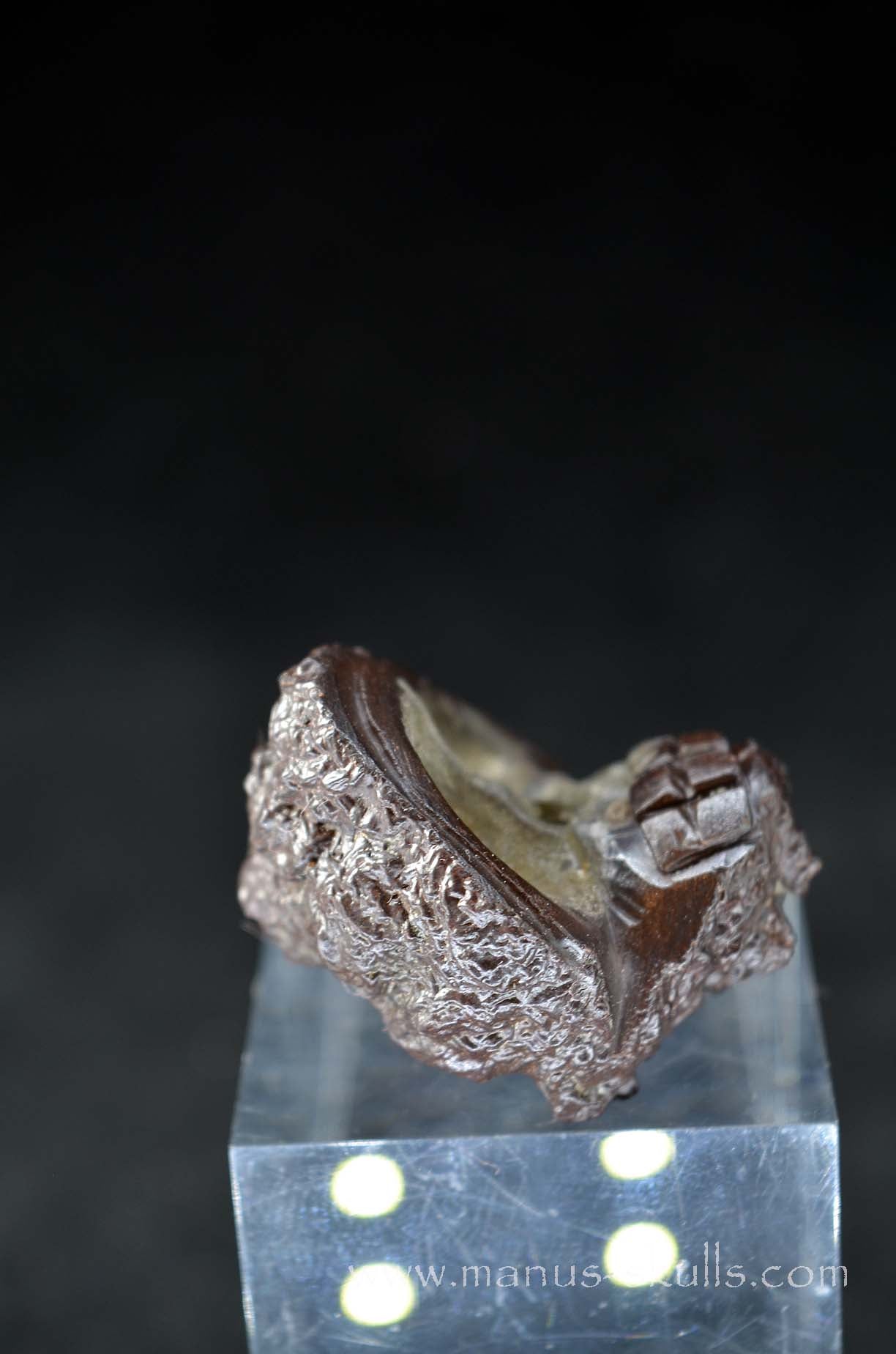 Prophecy Stone Evolian #10