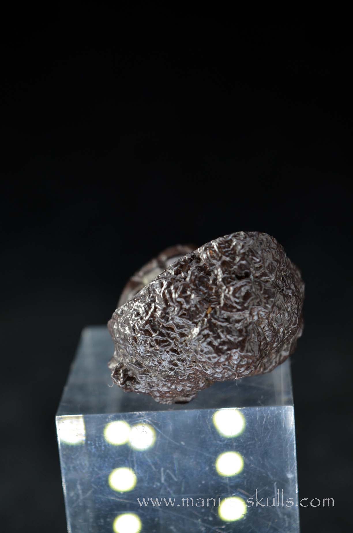 Prophecy Stone Evolian #10