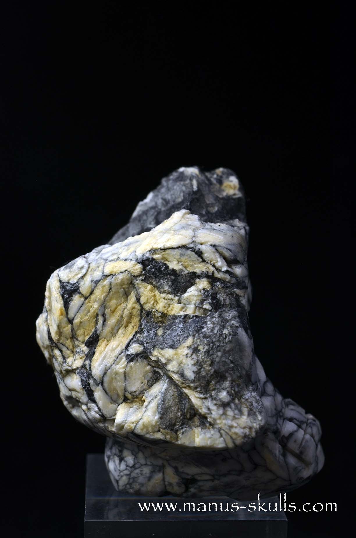 Austrian Pinolith Evolian #05