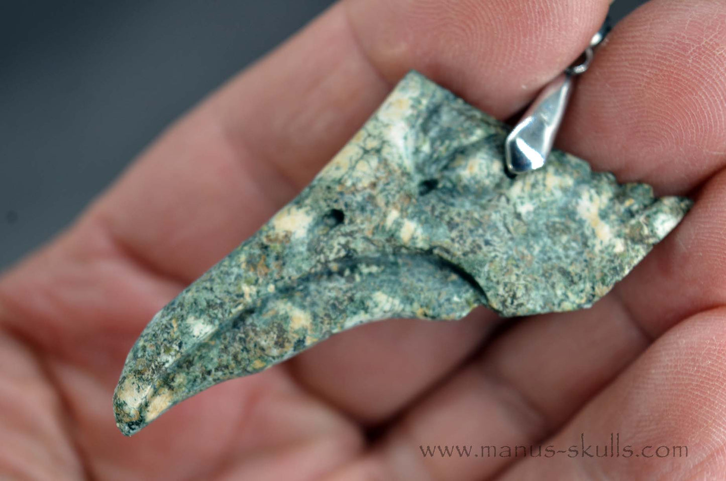 Preseli Bluestone Bird Skull Pendant