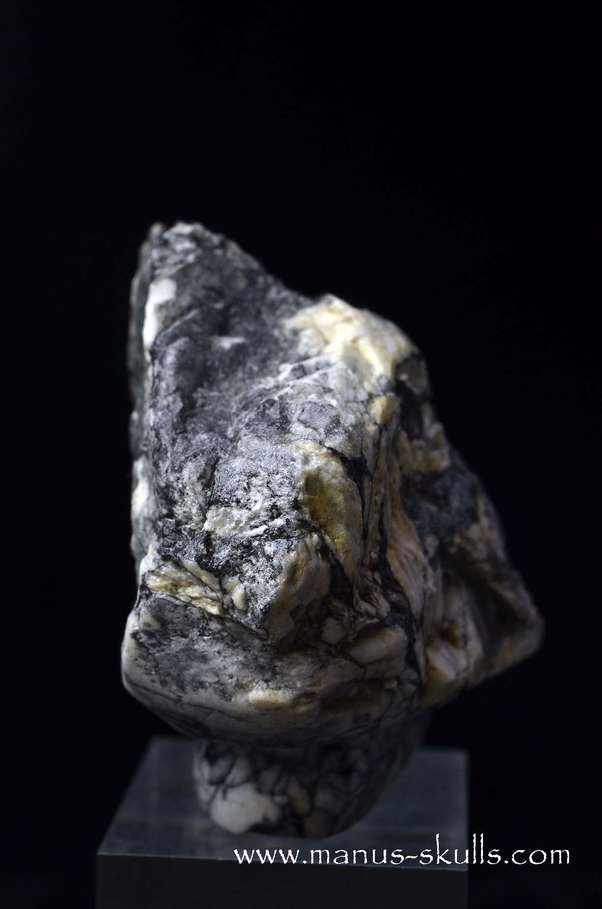 Austrian Pinolith Evolian #05