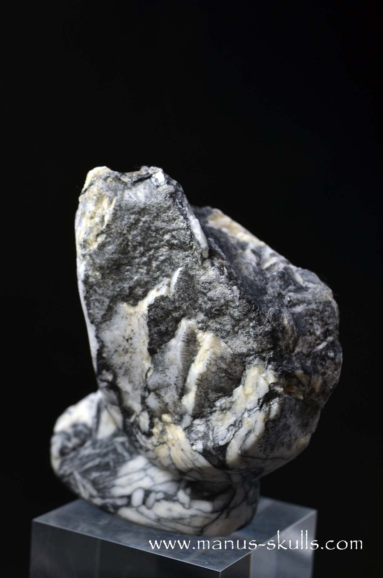 Austrian Pinolith Evolian #05