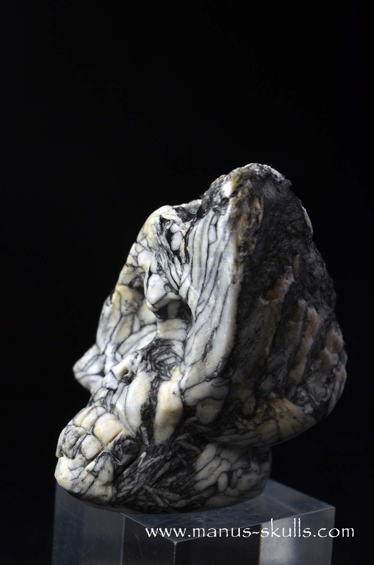 Austrian Pinolith Evolian #05