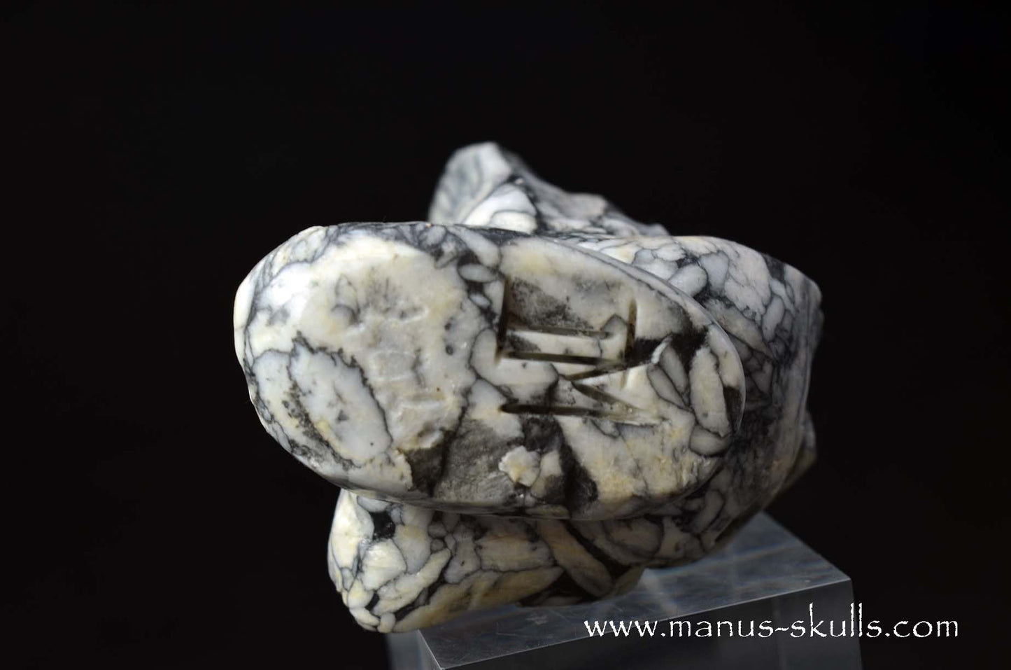 Austrian Pinolith Evolian #05