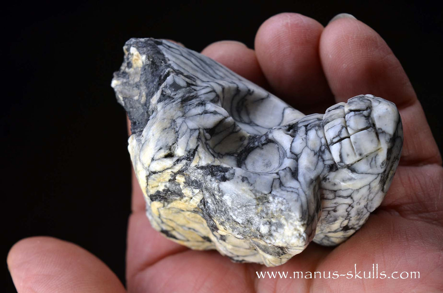 Austrian Pinolith Evolian #05