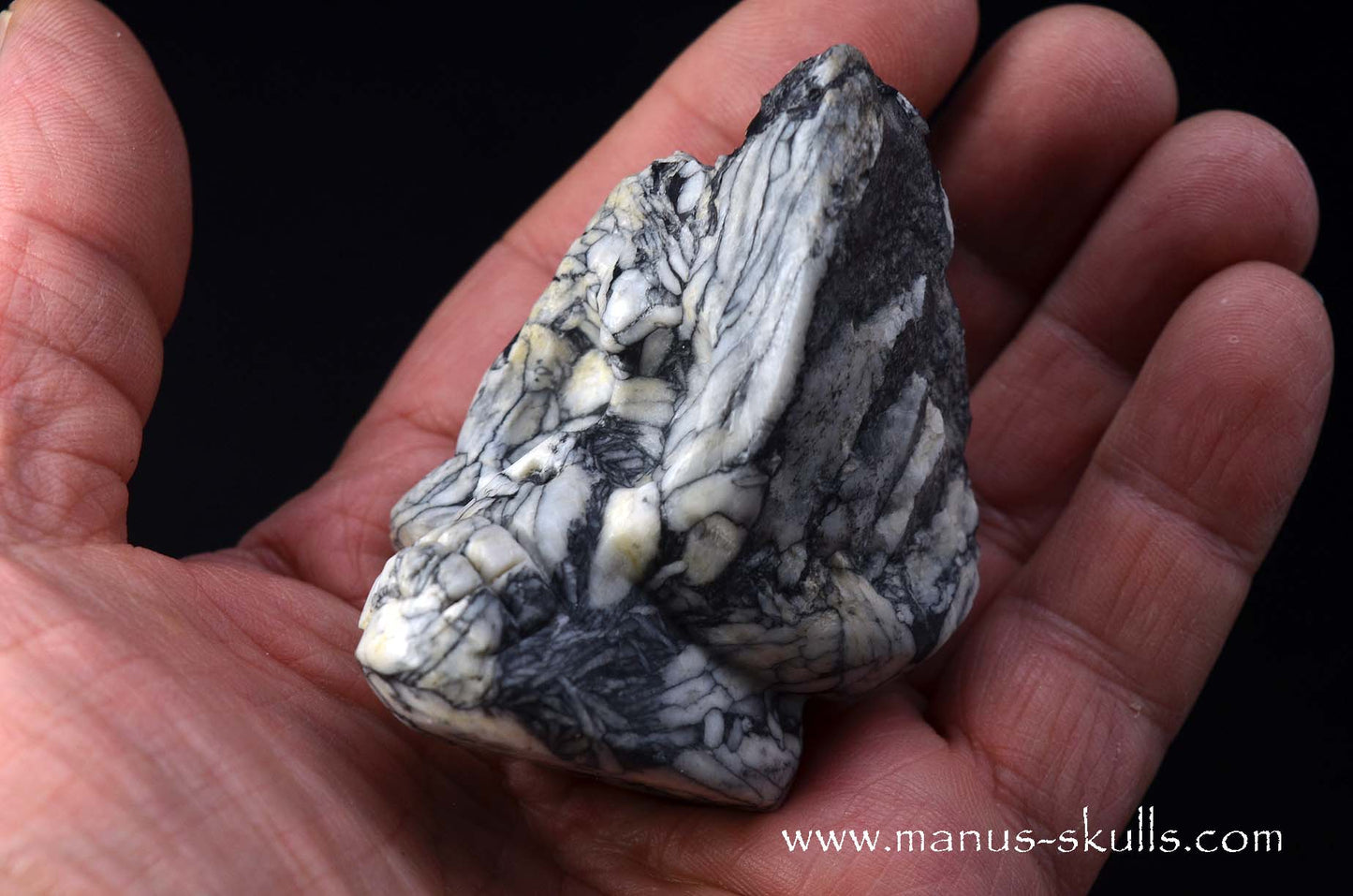 Austrian Pinolith Evolian #05