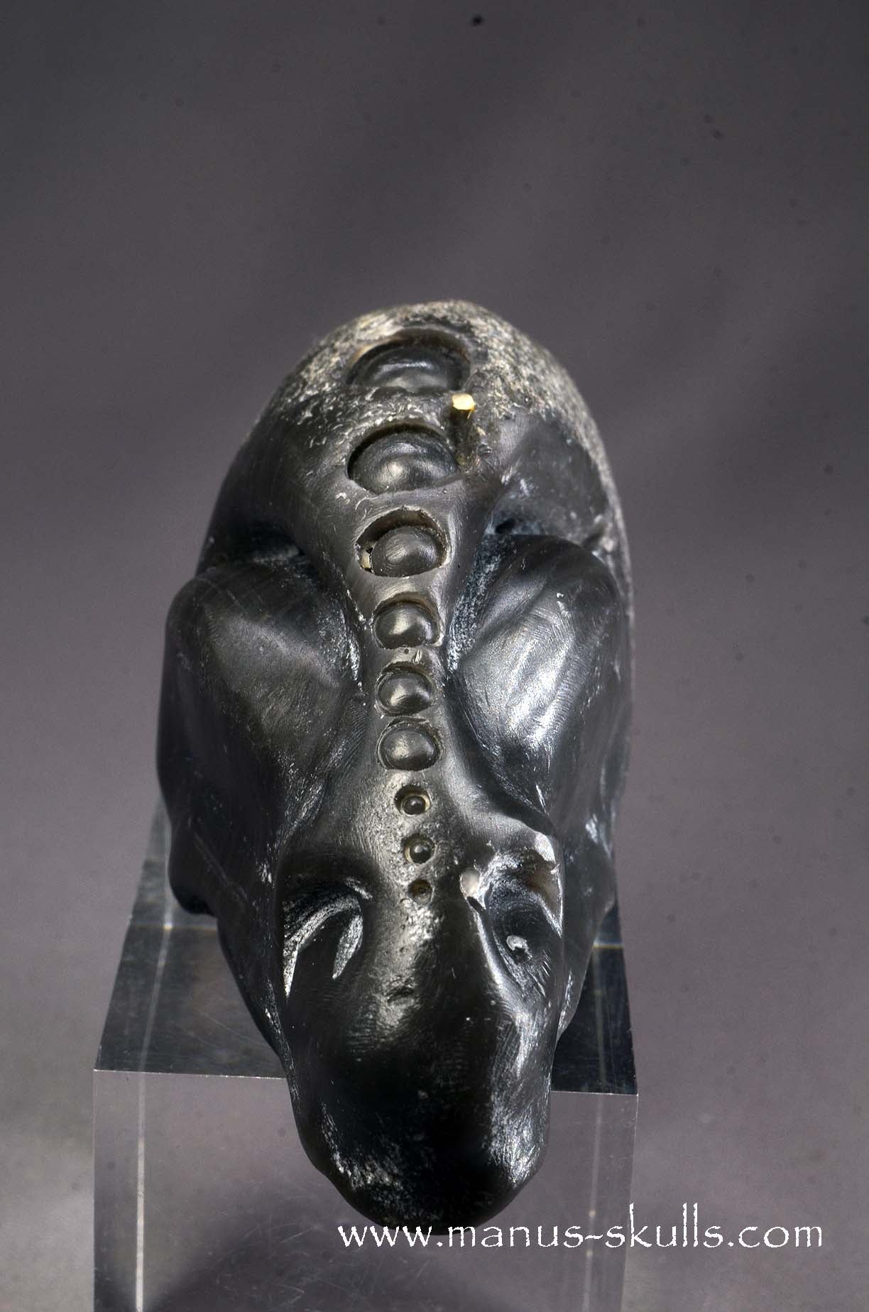 Manus skulls unique Crystal Carvings handmade skulls dragons pendants preseli bluestone tribals spiritual meaning wand Unicorn .. agni manitite