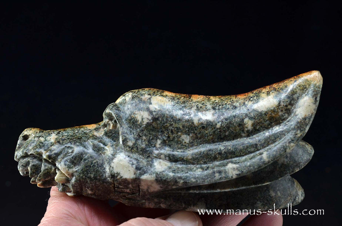 Preseli Bluestone Dragon