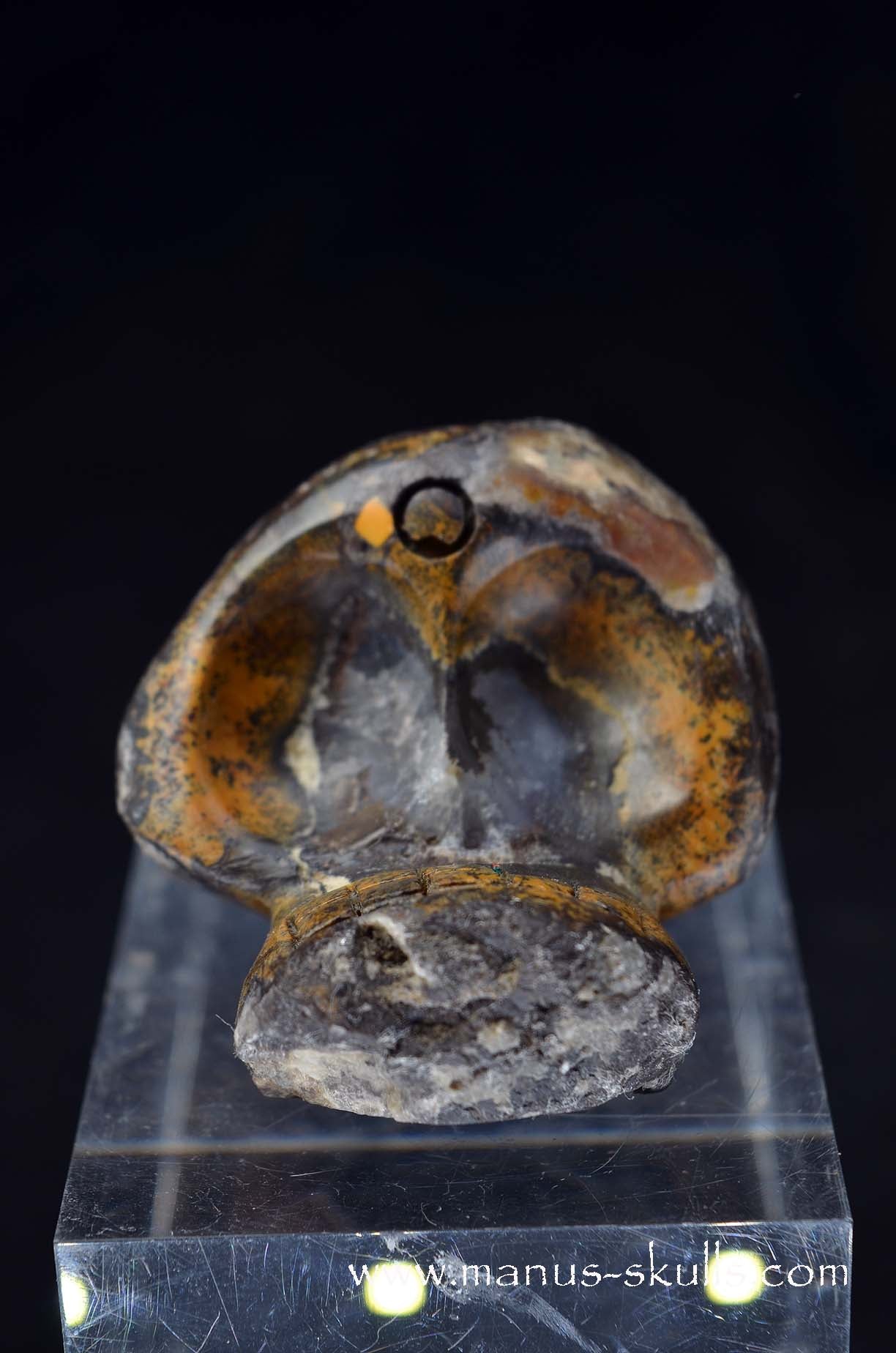 Manus skulls unique Crystal Carvings handmade skulls dragons pendants preseli bluestone tribals spiritual meaning wand Unicorn .. agate geode Evolian