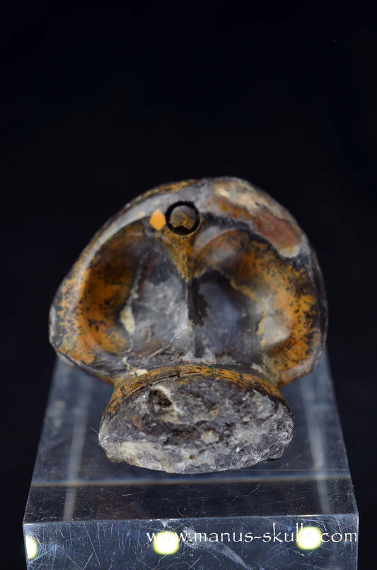 Manus skulls unique Crystal Carvings handmade skulls dragons pendants preseli bluestone tribals spiritual meaning wand Unicorn .. agate geode Evolian