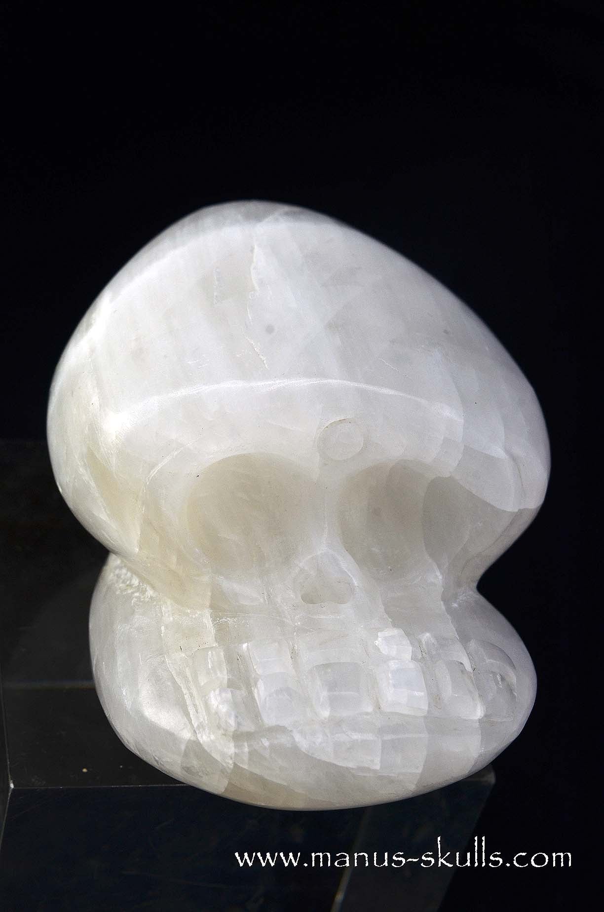 White Calcite Evolian Skull  #05