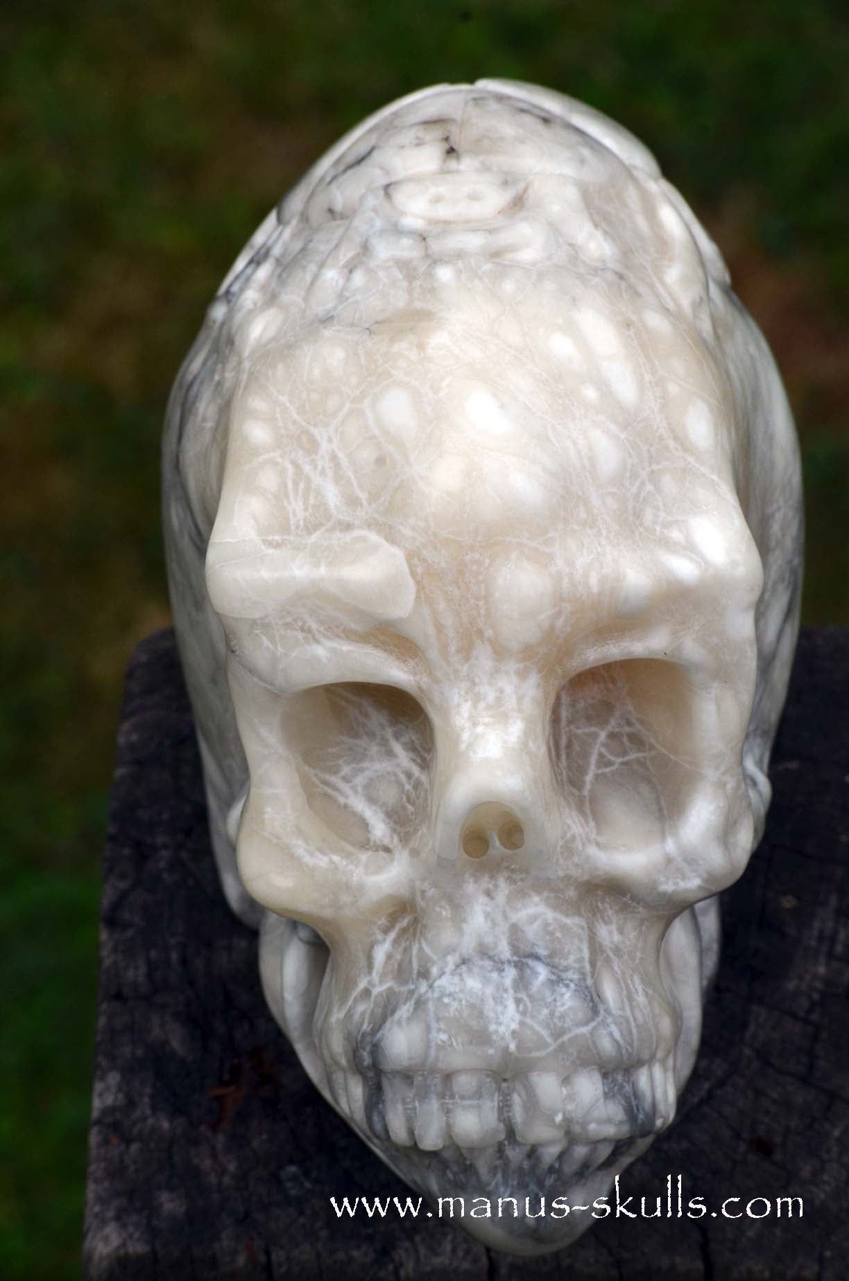 Alabaster Skull with carved Scarab Beetle ....