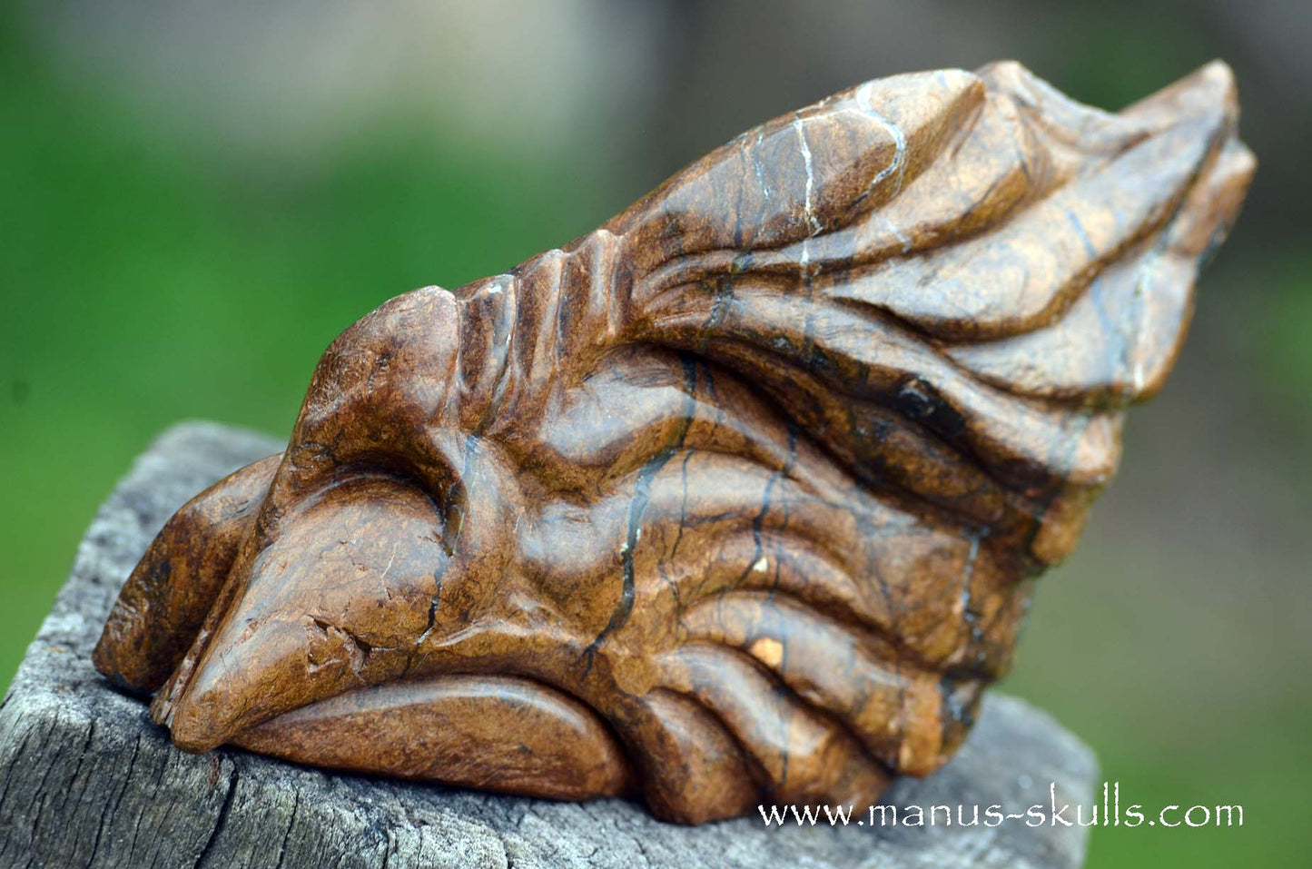 Bronzite Dragon