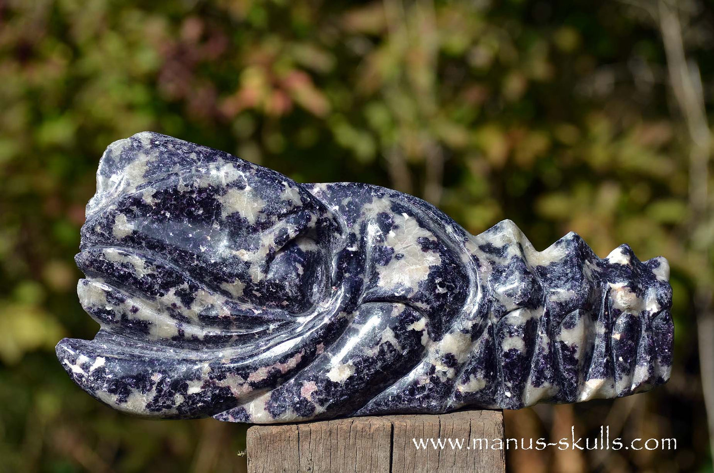Huge LEPIDOLITE Dragon ...