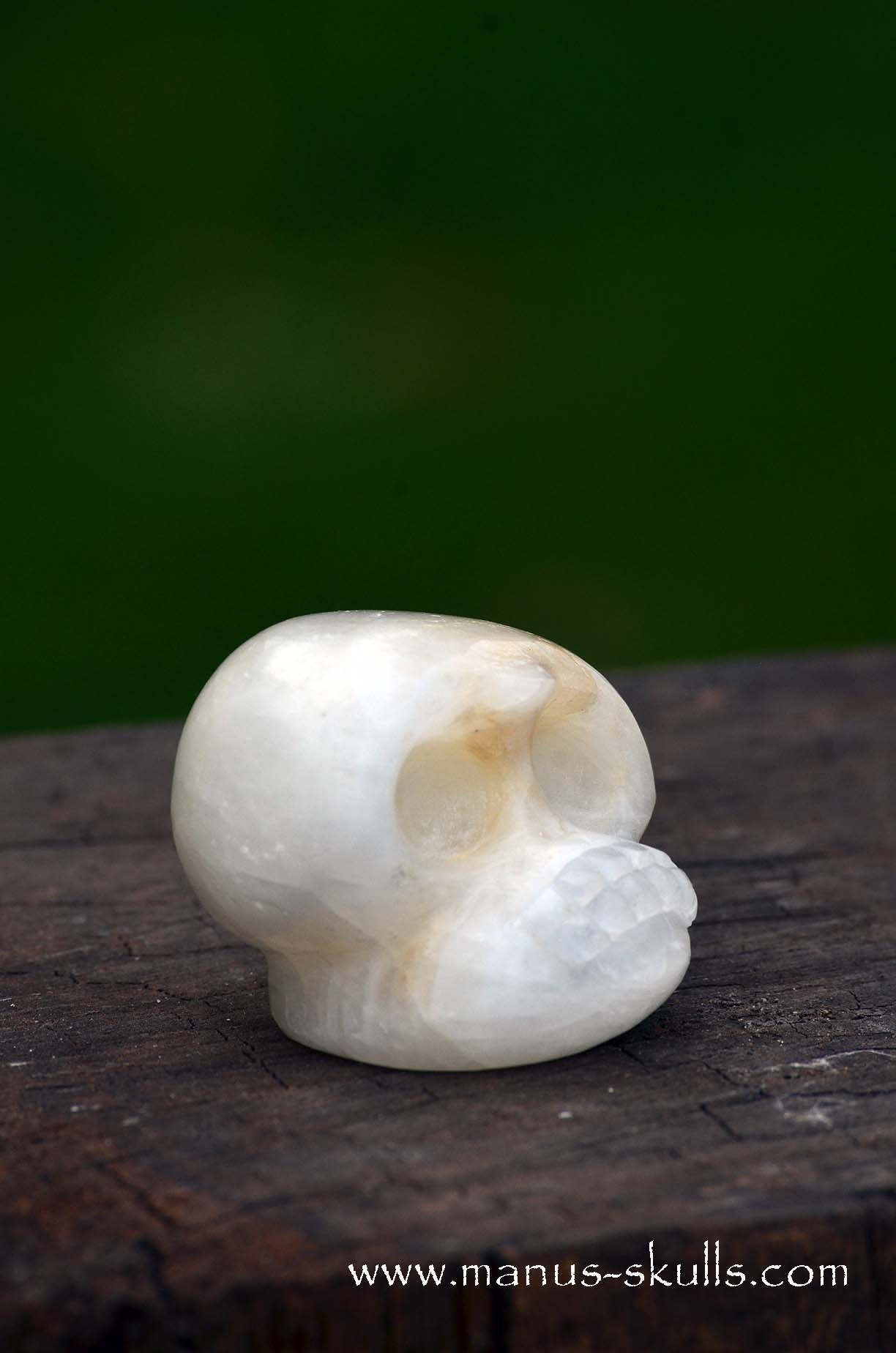 White Calcite Evolian Skull  #10