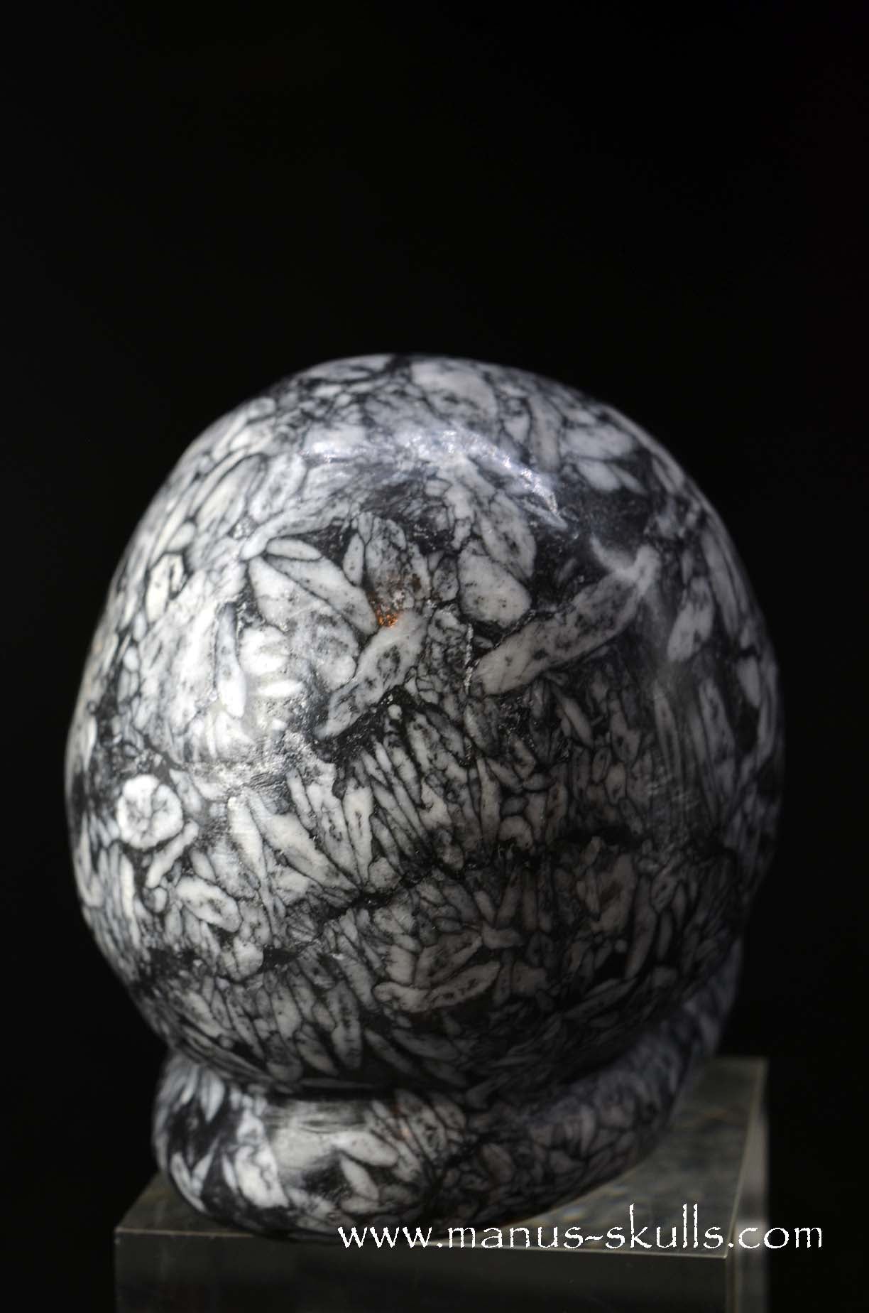 Austrian Pinolith Evolian #06