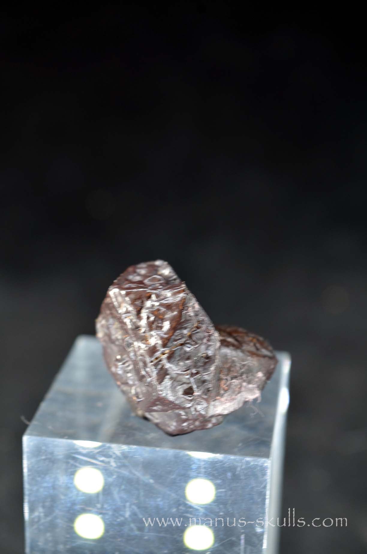 Prophecy Stone Evolian #11