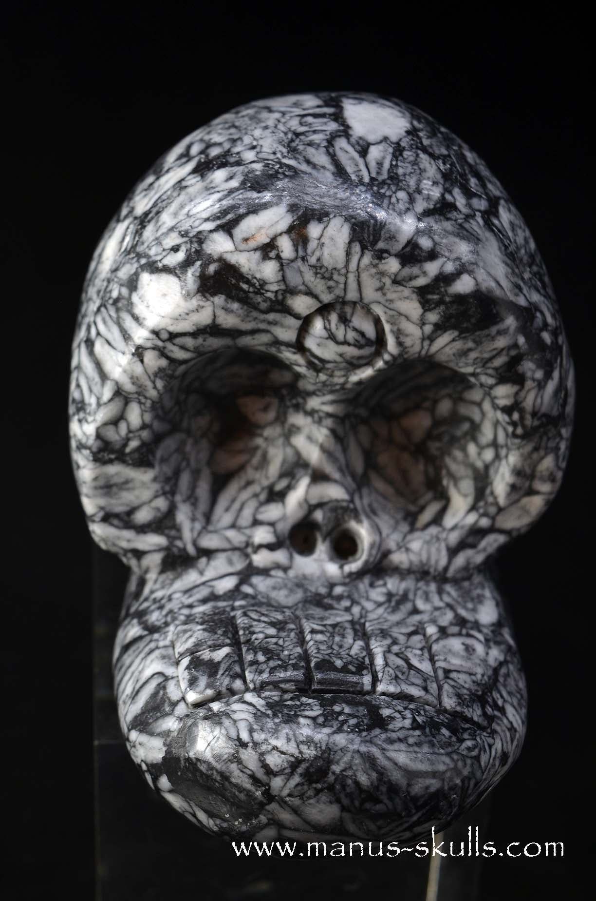 Austrian Pinolith Evolian #06
