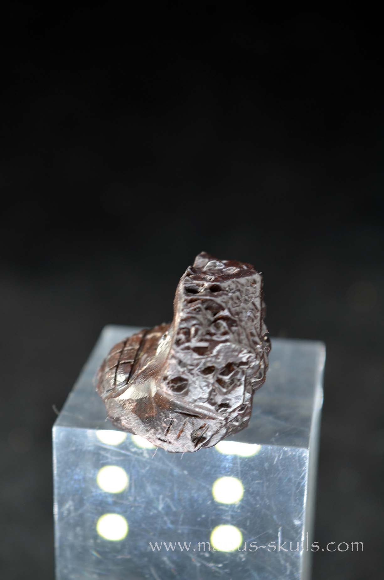 Prophecy Stone Evolian #11