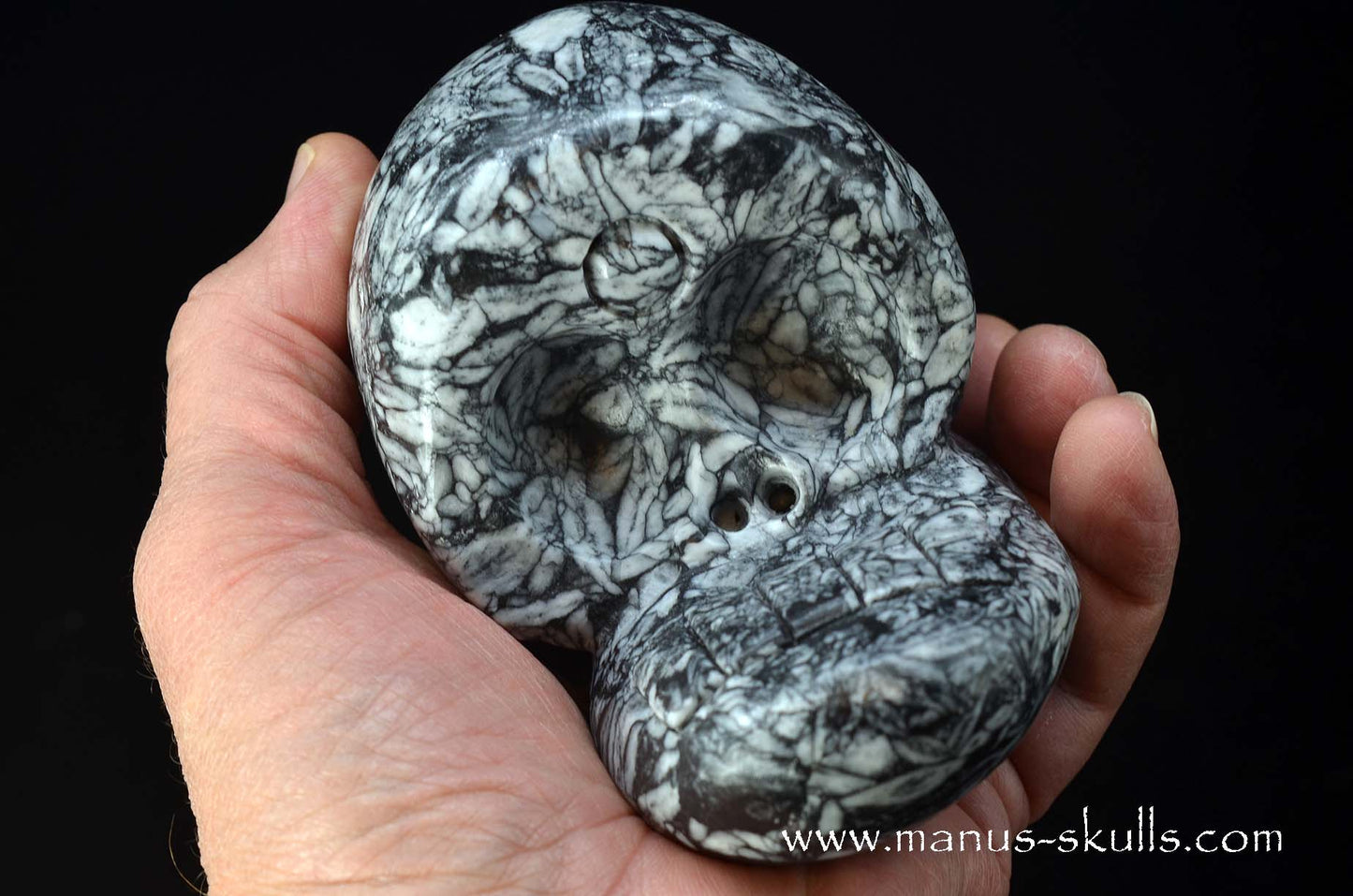 Austrian Pinolith Evolian #06