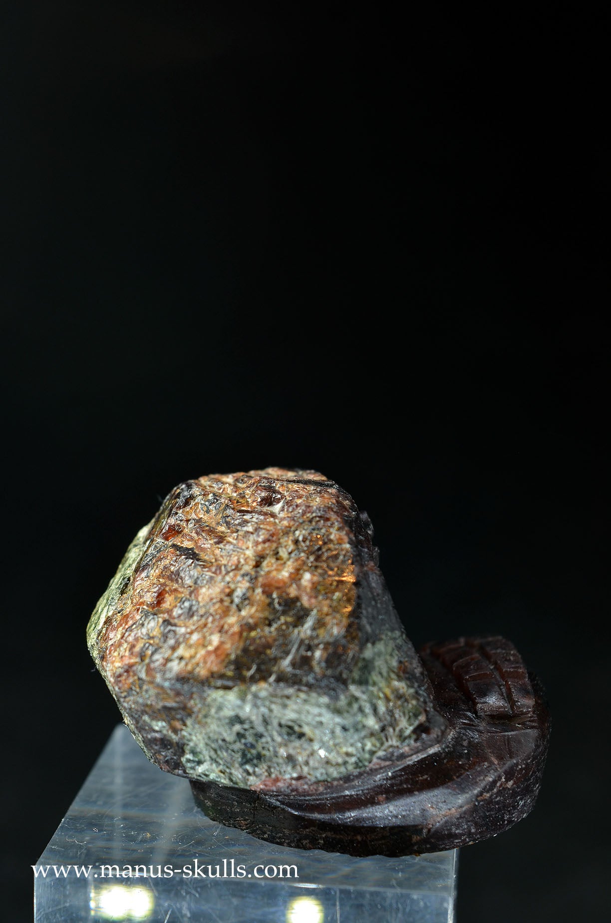 Garnet Evolian #08