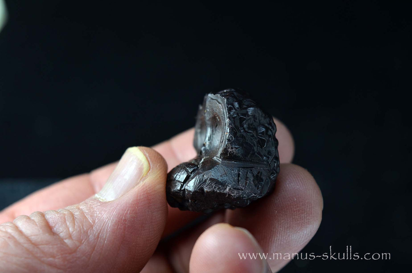Prophecy Stone Evolian #11