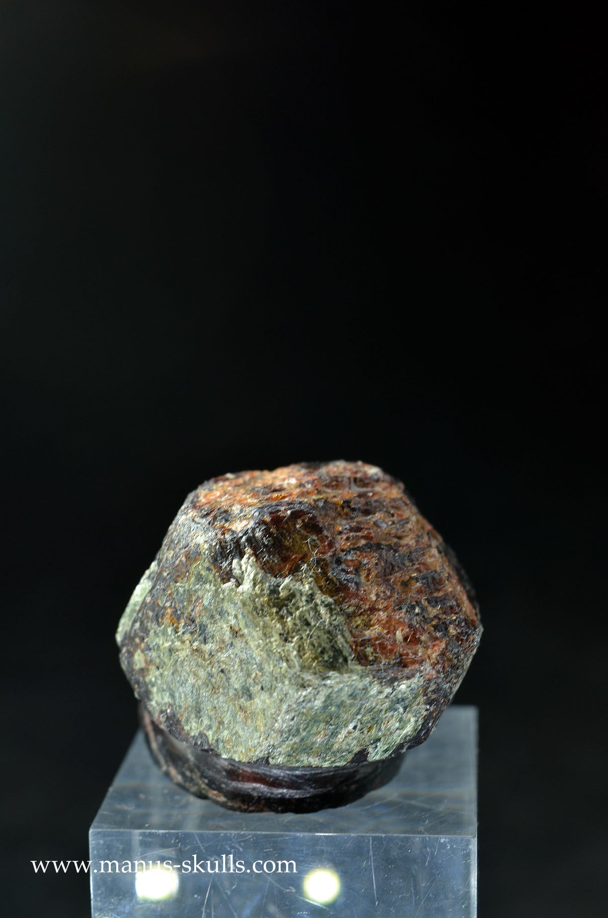 Garnet Evolian #08