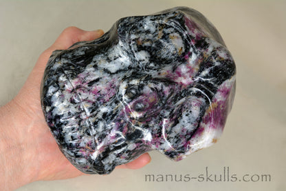 Large Eudialyte Skull