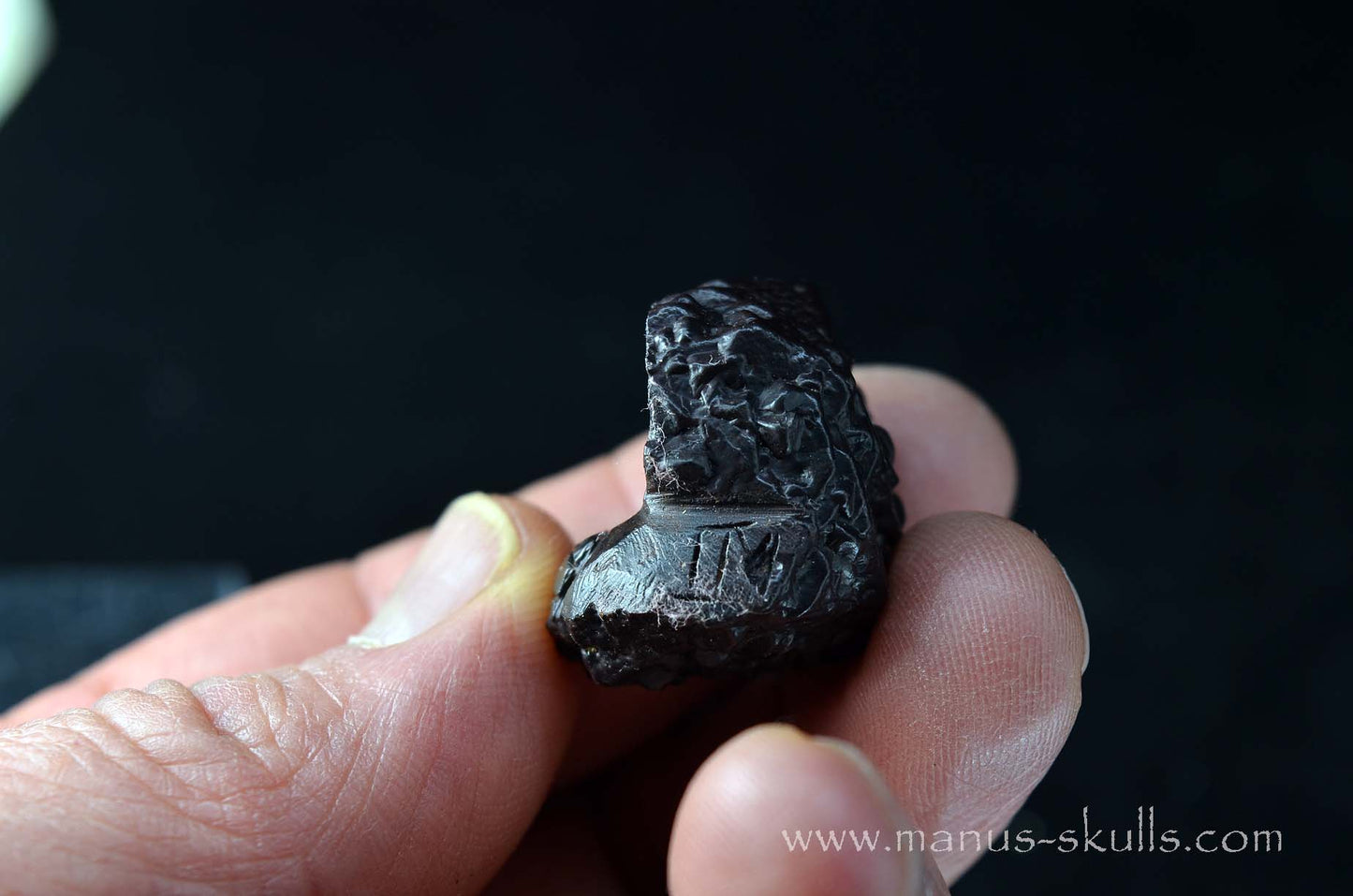 Prophecy Stone Evolian #11