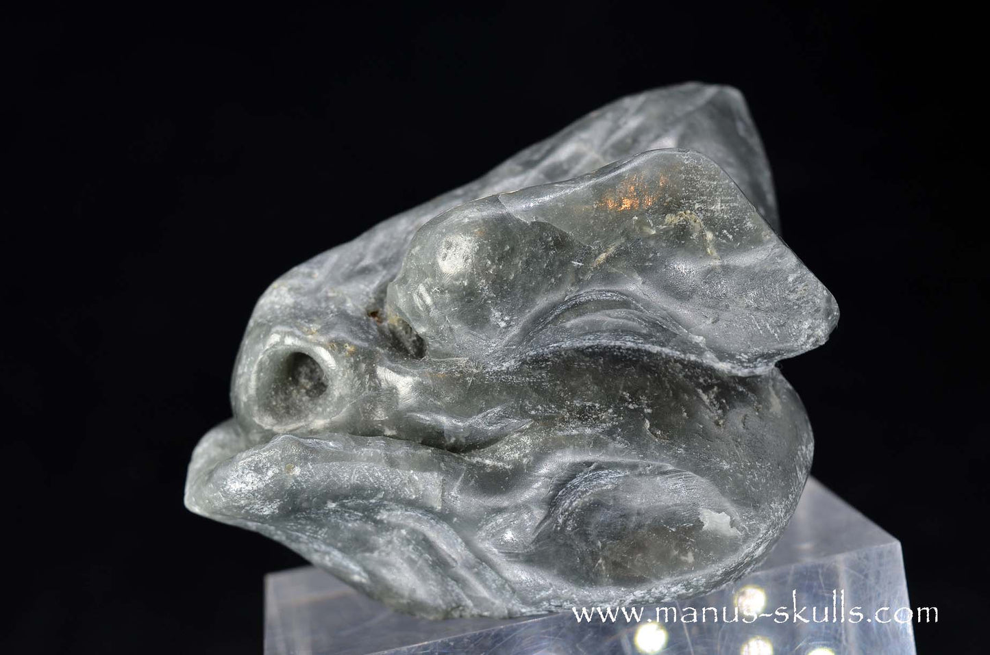 Eagle Eye Quartz Dragon