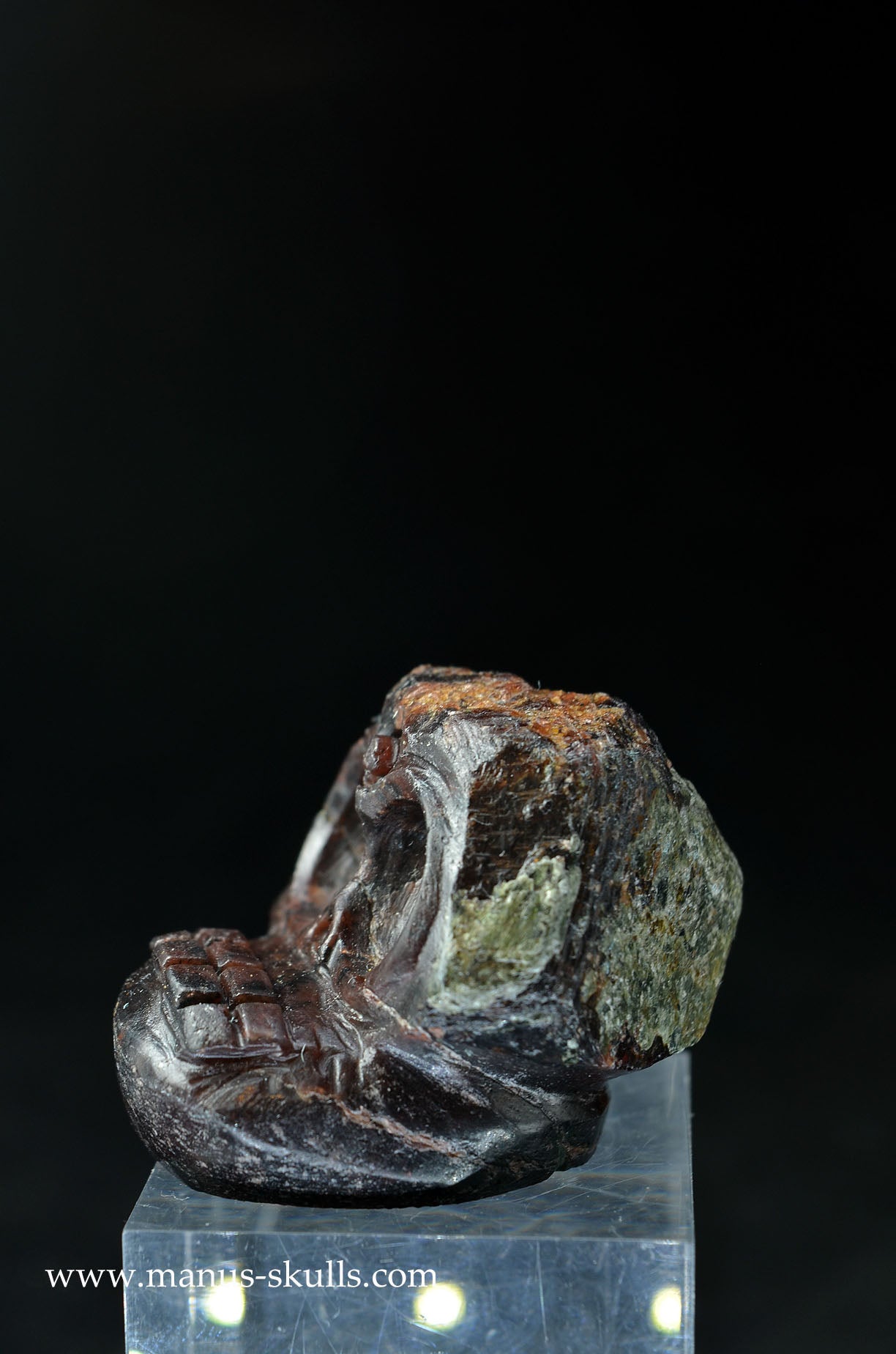 Garnet Evolian #08