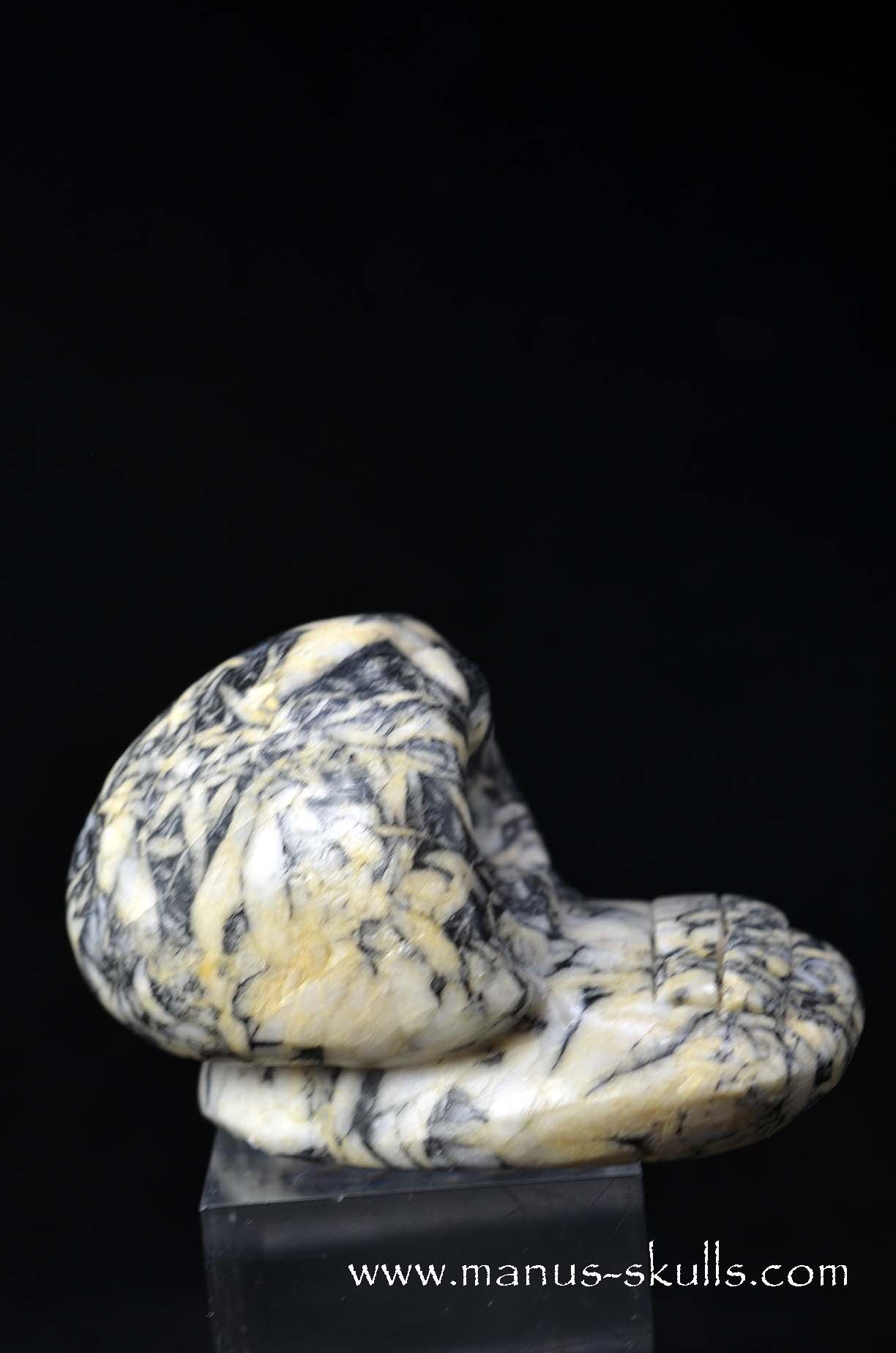 Austrian Pinolith Evolian #07