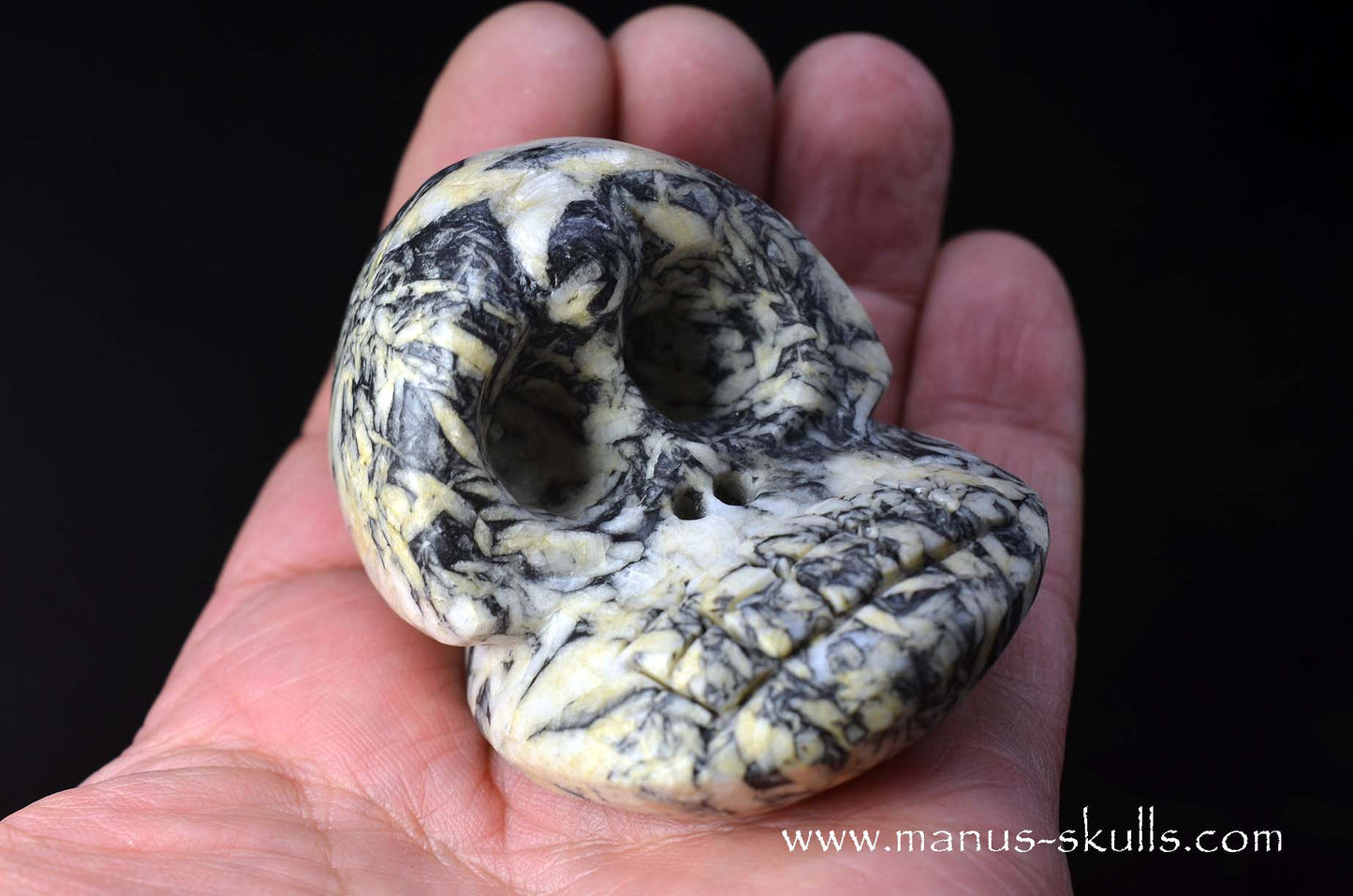 Austrian Pinolith Evolian #07