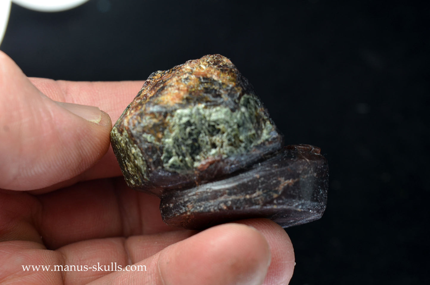 Garnet Evolian #08