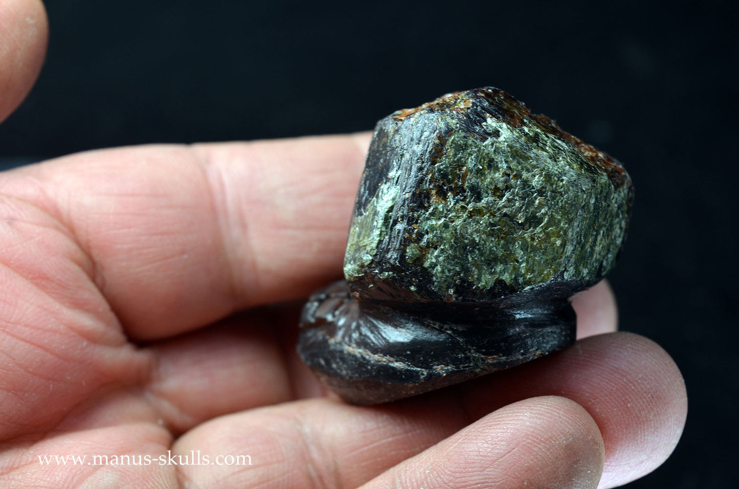 Garnet Evolian #08
