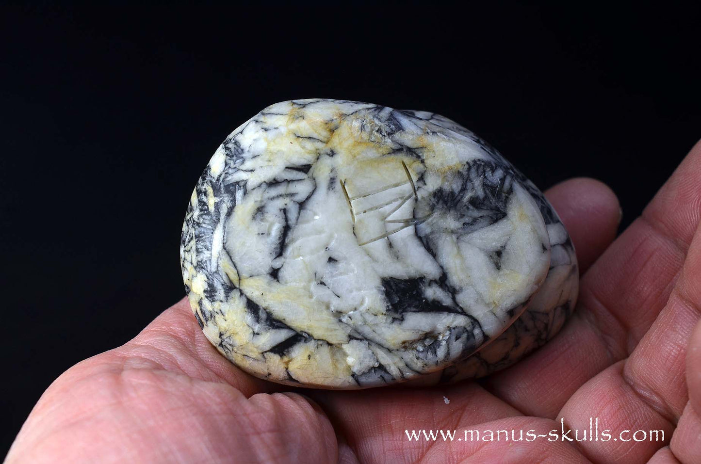Austrian Pinolith Evolian #07