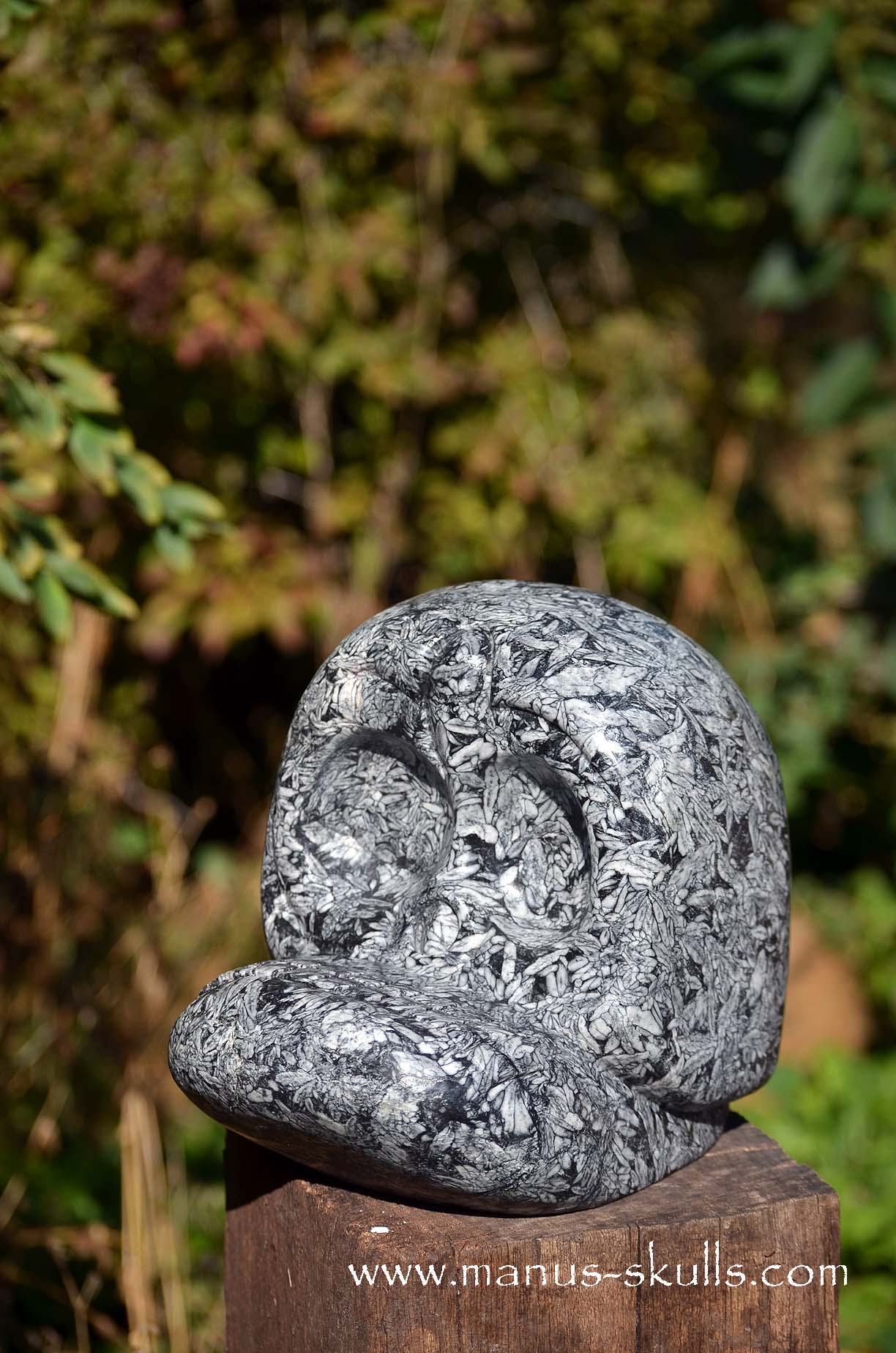 Austrian Pinolith Evolian #08