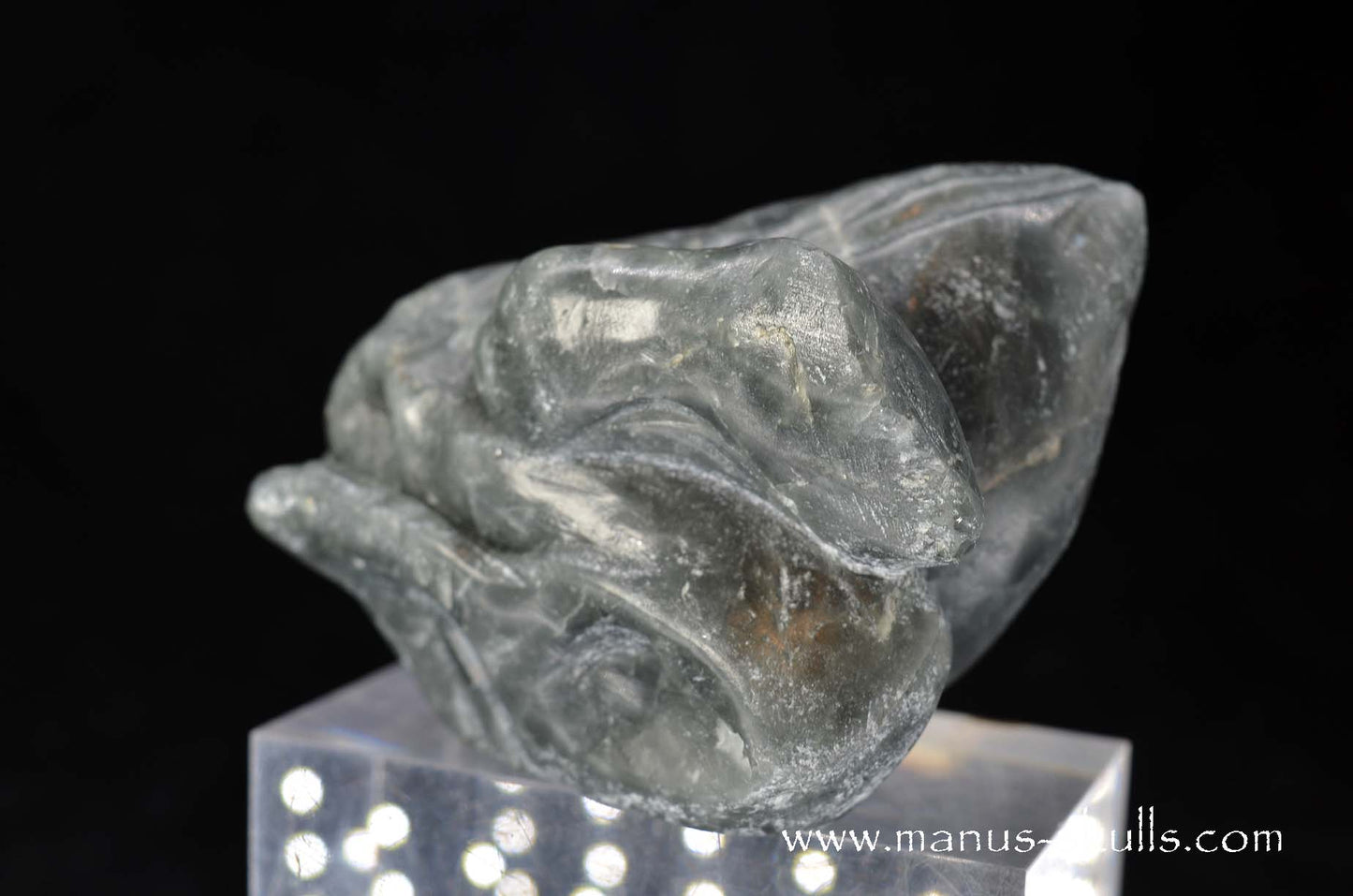 Eagle Eye Quartz Dragon