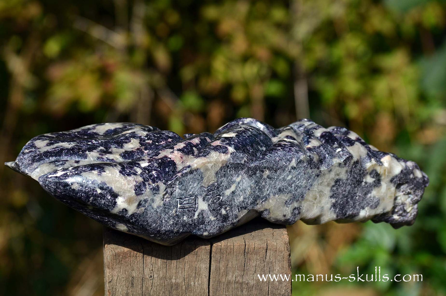 Huge LEPIDOLITE Dragon ...