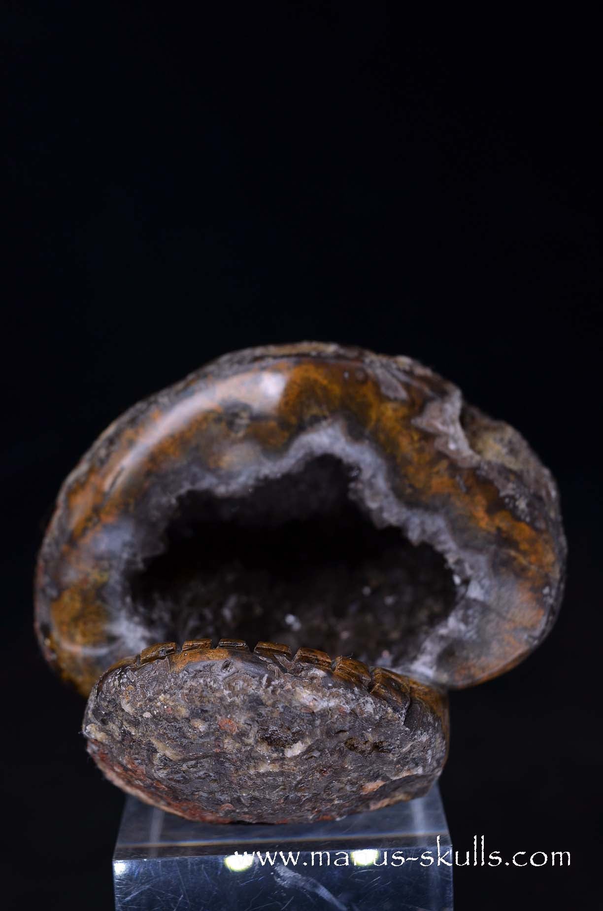 Manus skulls unique Crystal Carvings handmade skulls dragons pendants preseli bluestone tribals spiritual meaning wand Unicorn .. agate geode Evolian