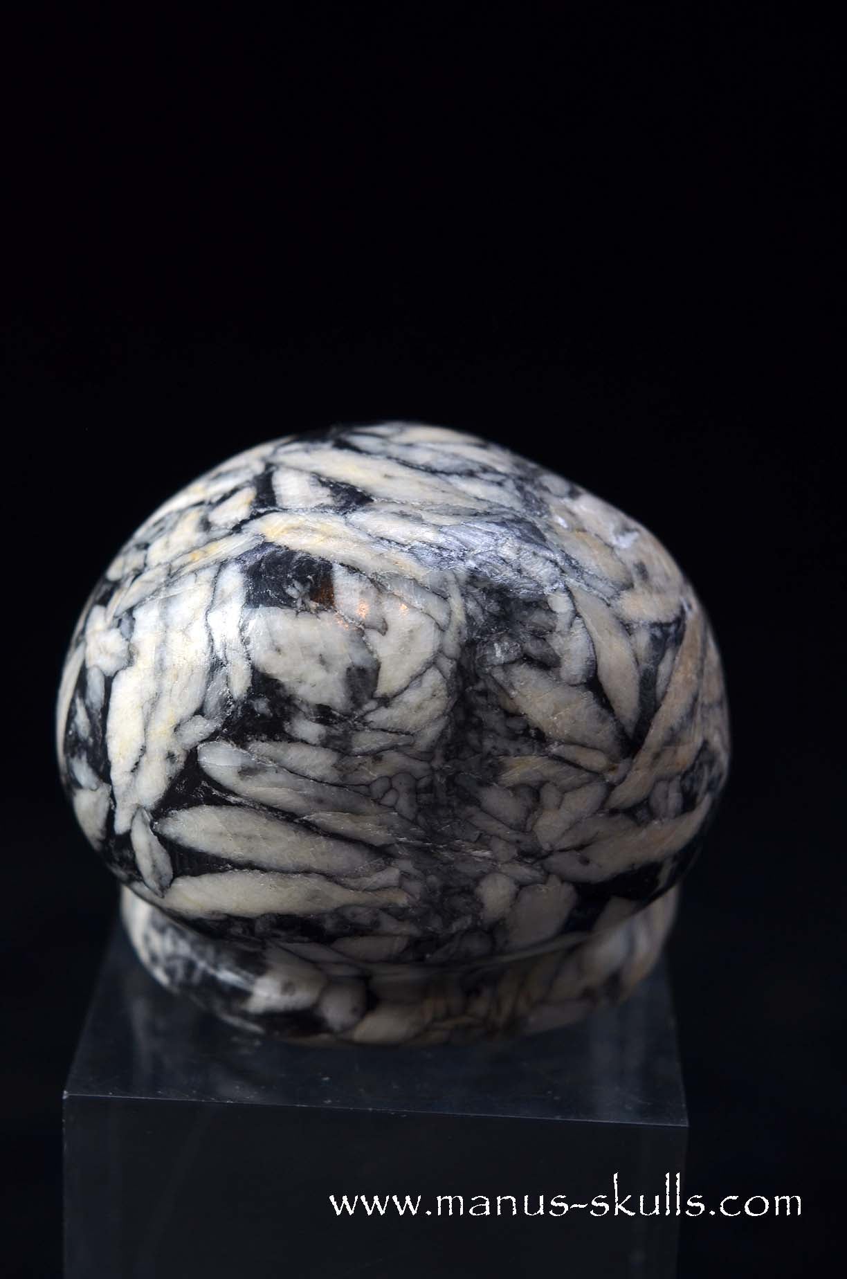 Austrian Pinolith Evolian #09