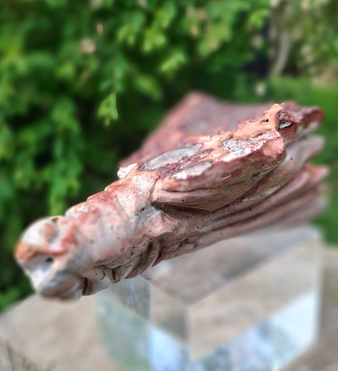 Mexican Fire Opal Dragon