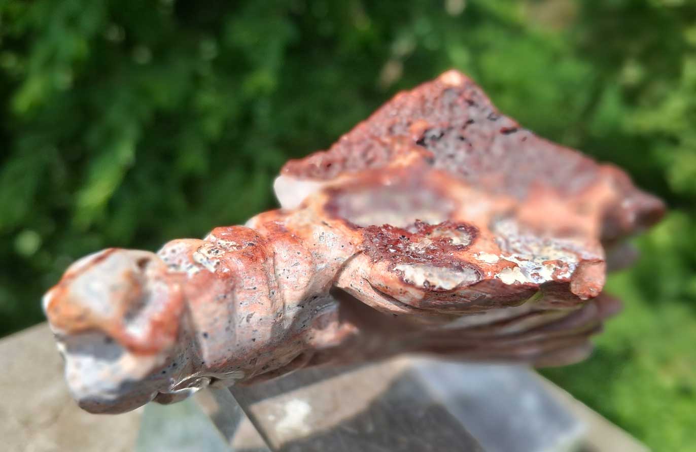 Mexican Fire Opal Dragon