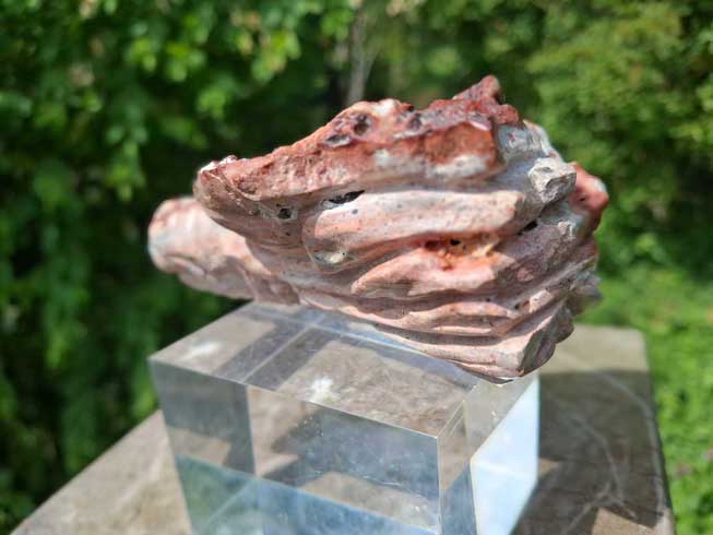 Mexican Fire Opal Dragon