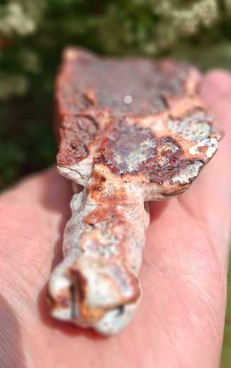 Mexican Fire Opal Dragon