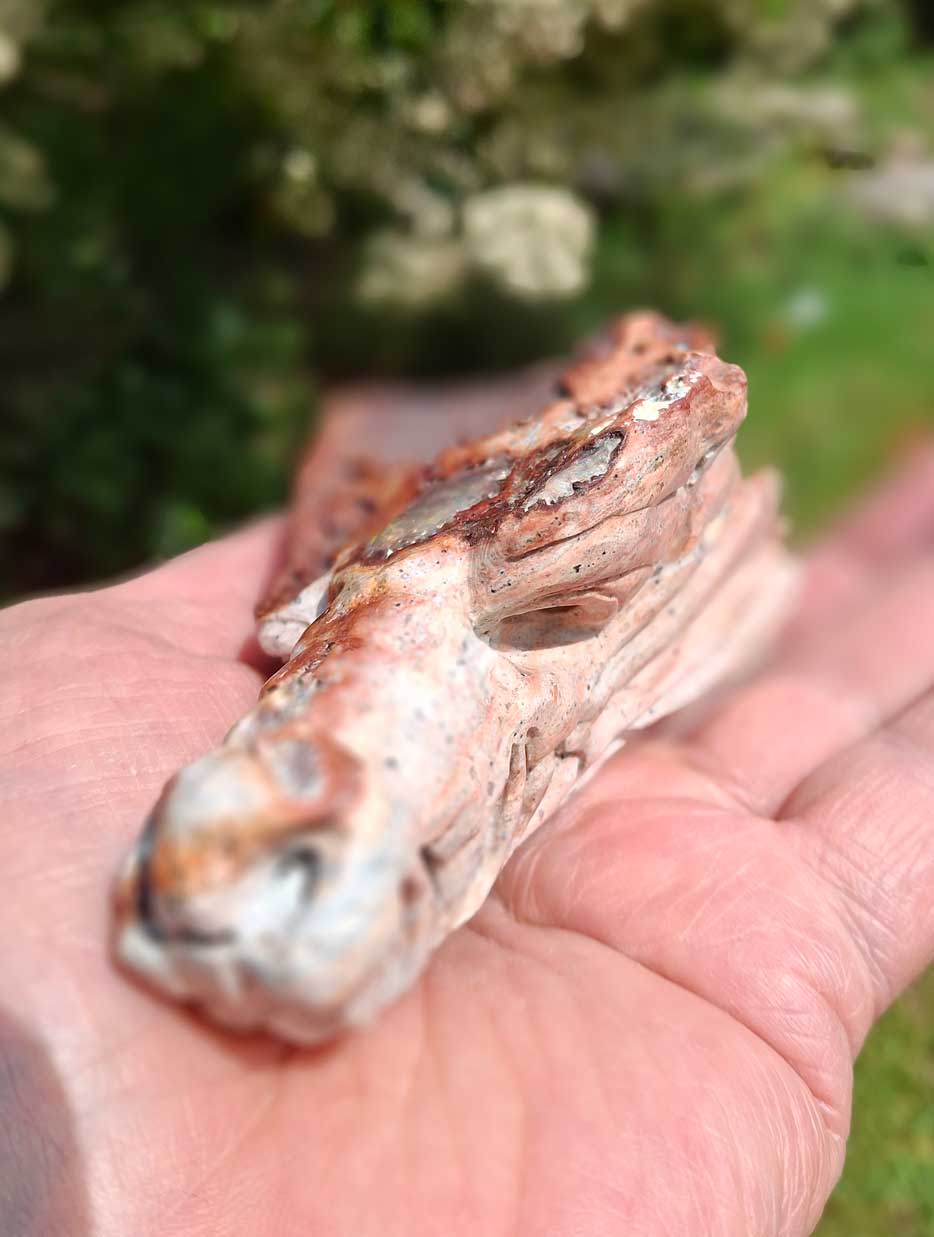 Mexican Fire Opal Dragon