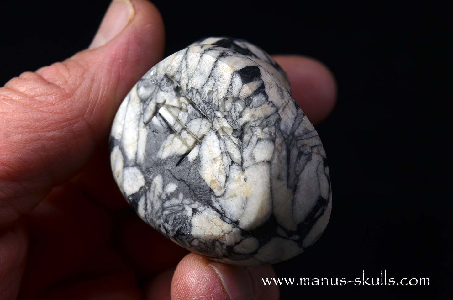 Austrian Pinolith Evolian #09