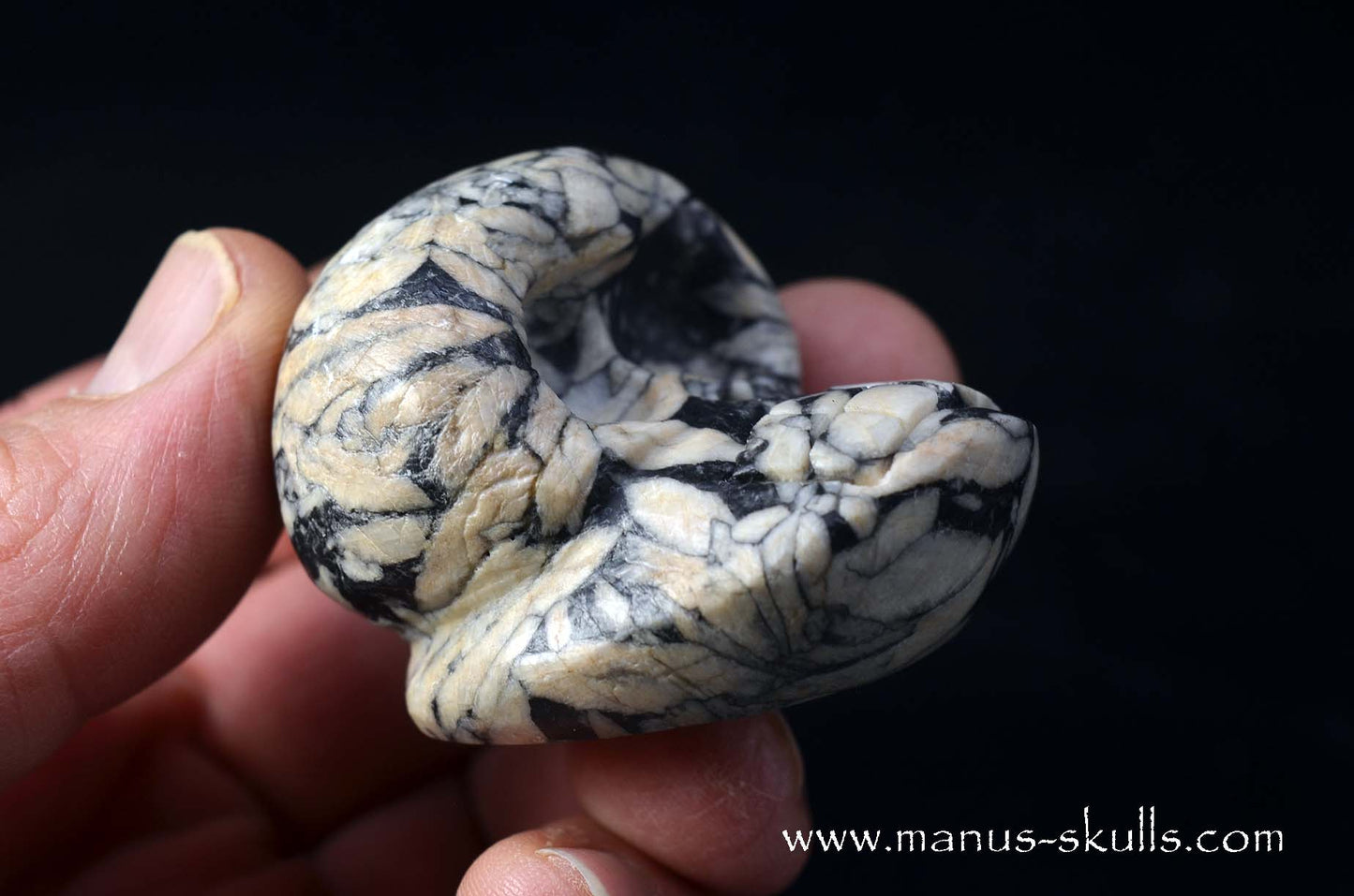 Austrian Pinolith Evolian #09